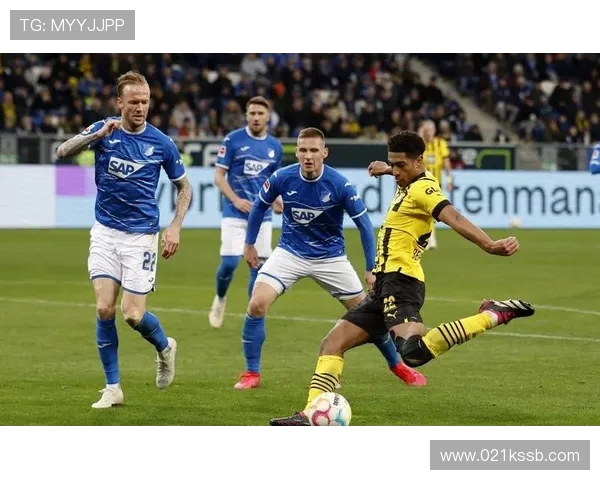 《2023德甲上赛季成功升级的球队及表现盘点》