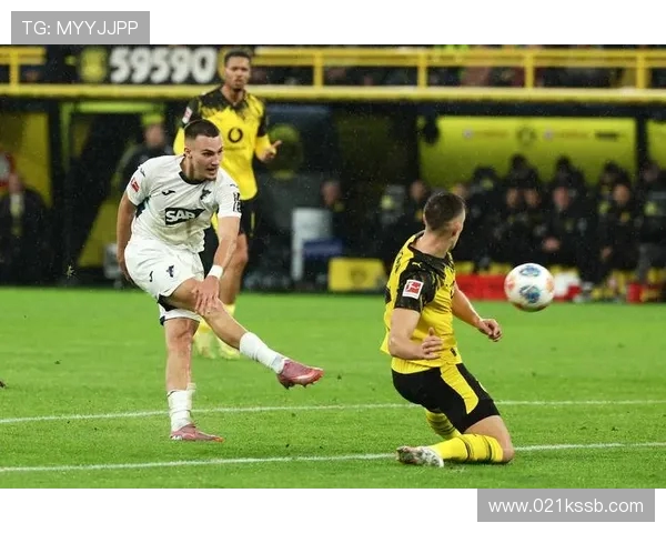 多特蒙德足球俱乐部2025赛季德甲战绩与亮点回顾